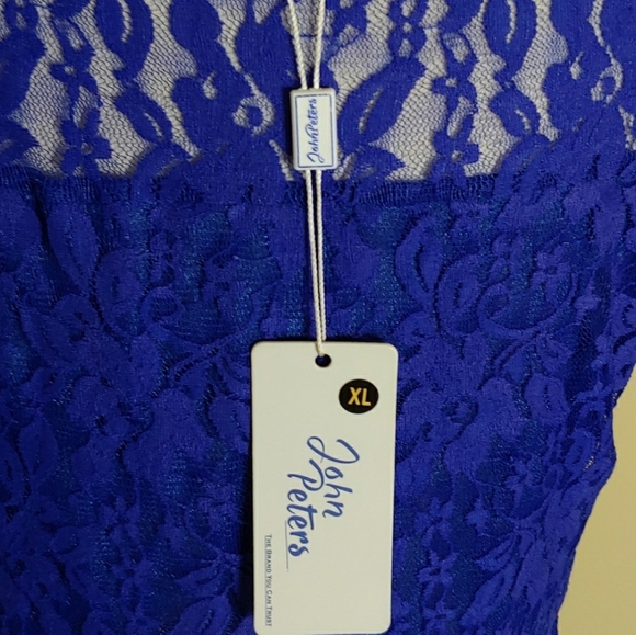 NWT Blue lace fit & flare dress - Picture 5 of 5